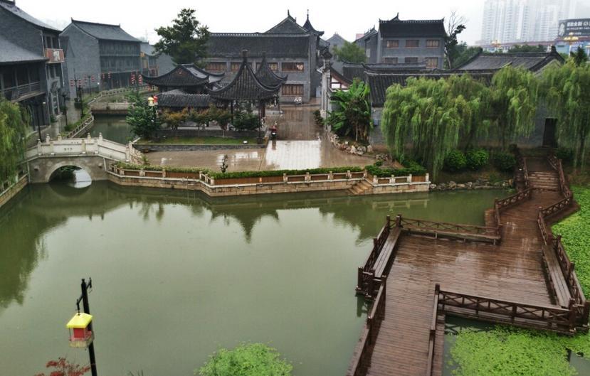 碰到一只流浪狗 看了它一眼之后 就像着了魔似的跟着我